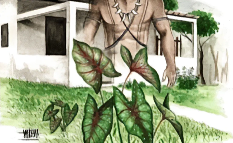 Die Legende des Tamba Taja